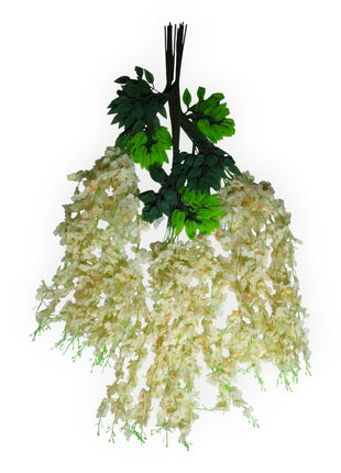 Wisteria 3 ramas x12