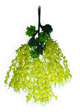 Wisteria 3 ramas x12
