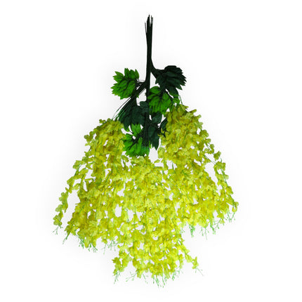 Wisteria 3 ramas x12