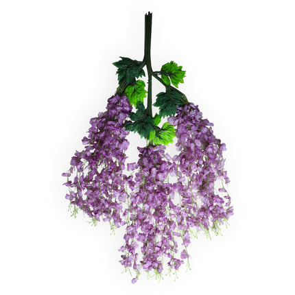 Wisteria 3 ramas x12