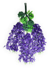 Morado