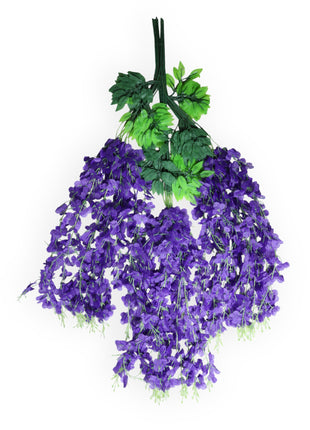 Wisteria 3 ramas x12
