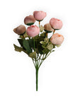 Rosa-2