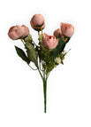 Rosa/Blanco