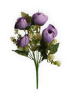 Morado