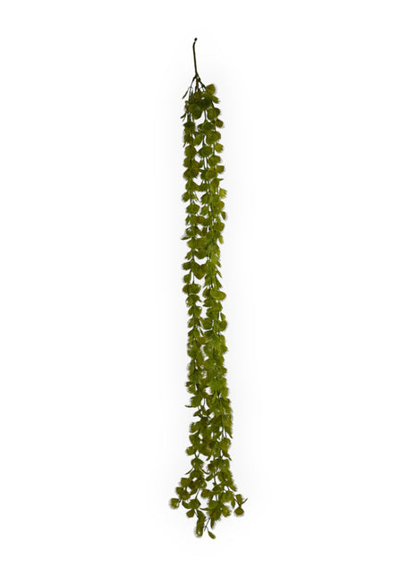 Colgante Planta Carnivora