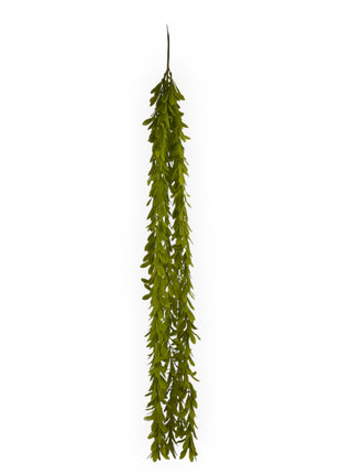 Enredadera Flexible