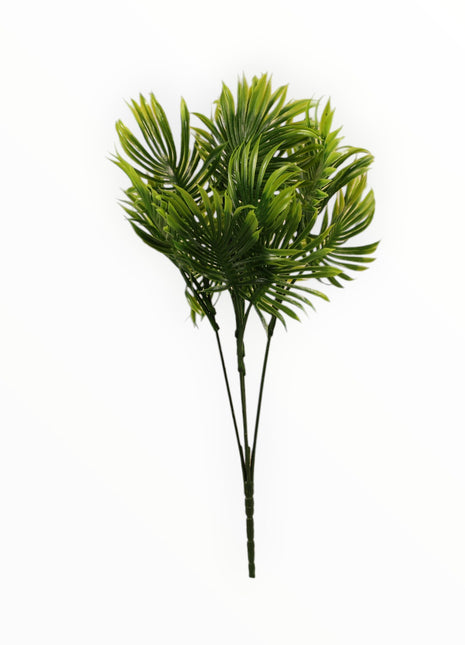 Follaje Palmera
