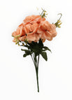 Rosa-2